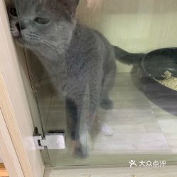 电话,地址,价格,营业时间上海宠物