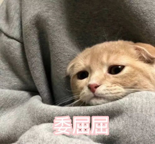 微信头像女生专用头像表情