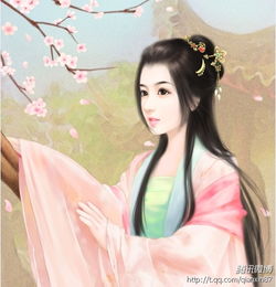 宫斗群头像有哪些越多越好