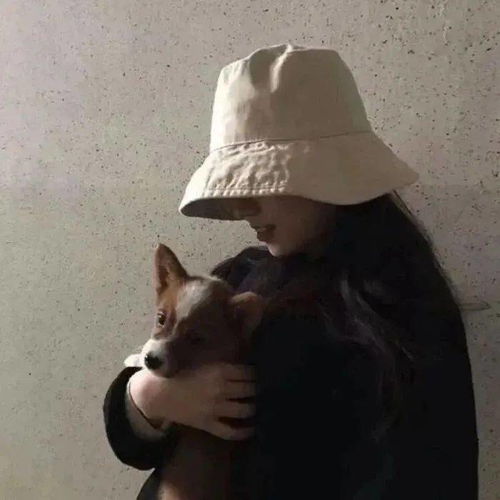 每日一扎要喜欢那种心情不好也舍不得凶你的人