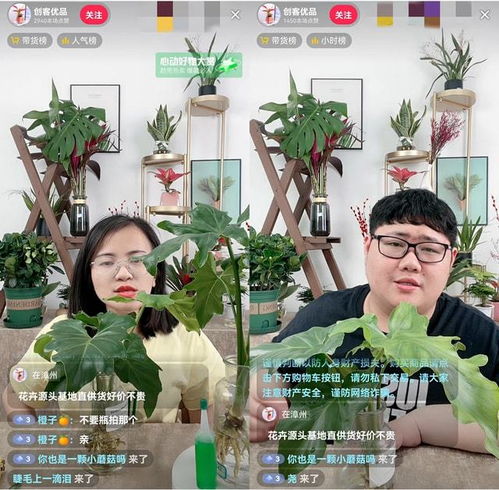 月销18万单,他在抖音电商卖绿植,帮助至少30位残疾人实现就业