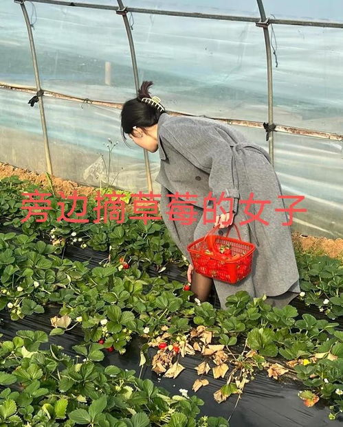 草莓女生头像图片大全摘草莓
