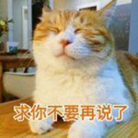猫咪么么哒表情包微信头像图片大全