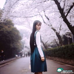 武大女神樱花丛人面樱花相辉映美图