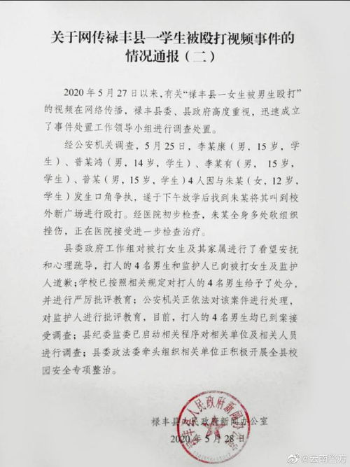 云南禄丰12岁女生被4男生殴打,涉事男生到案接受调查