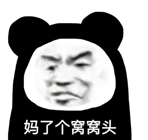 今日份表情包已送达