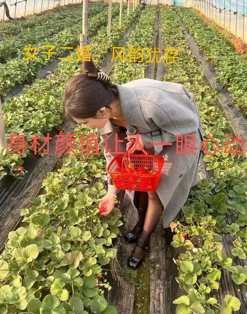 小伙带相亲对象摘草莓,一眼看上旁边二婚女子,网友美得出奇