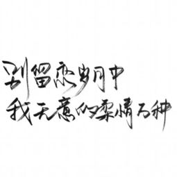 文字系列