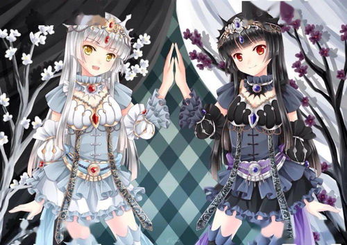 动漫少女双子