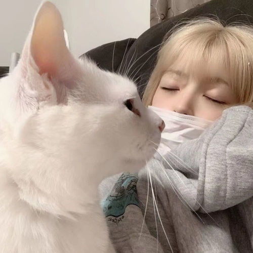 精选优质温柔小众好看的女生头像296