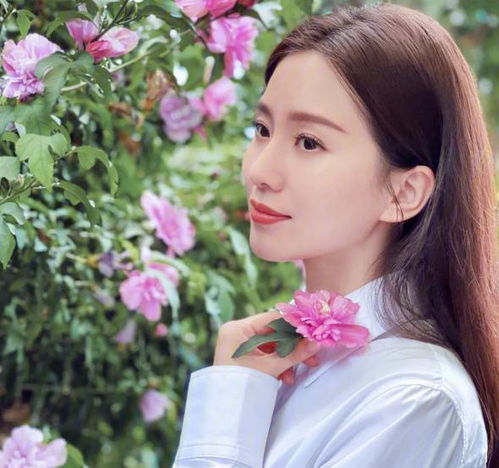 吴奇隆带娃探班刘诗诗,力破婚变传闻,4岁儿子长相帅气被赞像爸