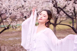古风美女杏园写真爆红网络被赞花仙子