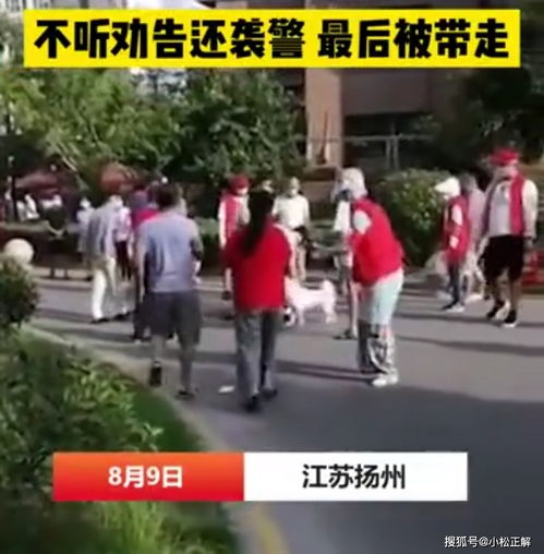 江苏一女子遛狗不牵绳,不听劝告还动手打警察,我遛狗从来不拴绳