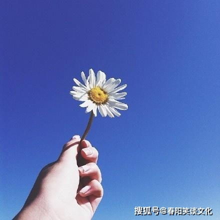 早安心语正能量图片句子,精辟霸气,激励人心