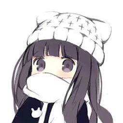 关注