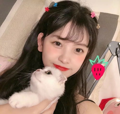 女头丨可爱唯美清纯气质女头像