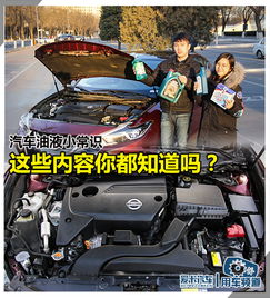 汽车油液小常识这些内容你都知道吗