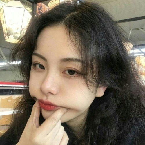 收藏夹