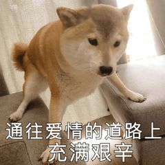 不显示该聊天你在用吗