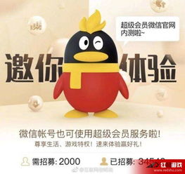 能赢钱的微信头像女打麻将