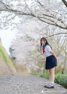 jk日常樱花树下的jk美少女,这是什么神仙颜值