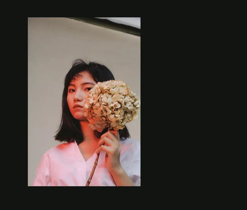 活动招募暗中观察戏剧评论行动对谈沙龙