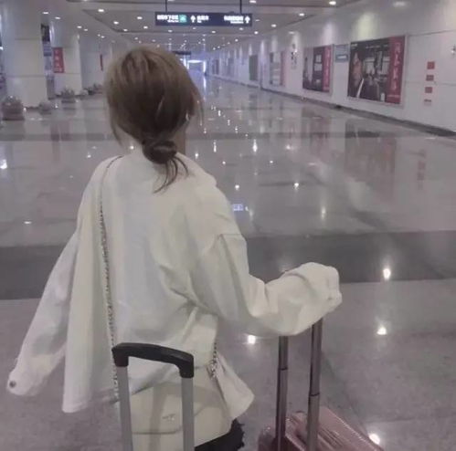 无标题