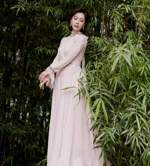 43岁的陈数深藏不露,穿鱼尾裙显花瓶身材,真的好羡慕赵胤胤