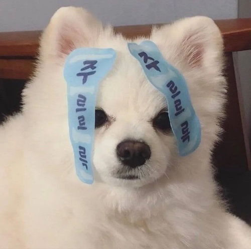 看文