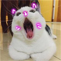 女生头像萌萌哒的可爱蜥蜴