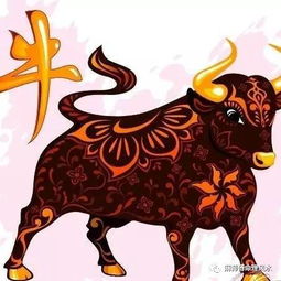 2017年,属牛运势啥情况