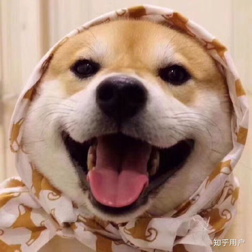 1收藏夹