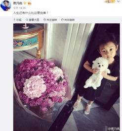 贾乃亮晒玫瑰花和女儿叹人生完美甜馨更可爱了