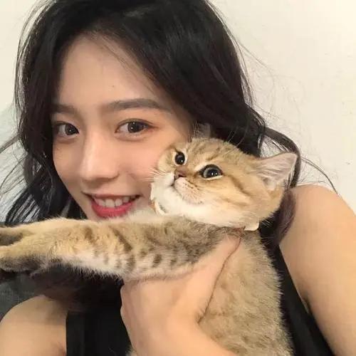 日润七弦琴唯美图片名每
