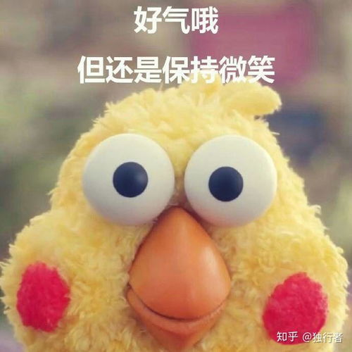 老婆花钱总是大手大脚怎么办