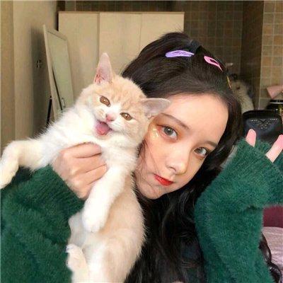 小奶猫好可爱,可你知道它断奶了该喂什么吗