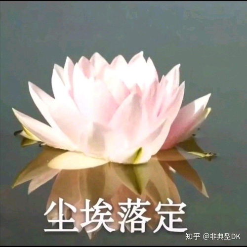 适合女生用的佛头头像佛系