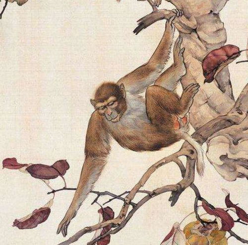 猴果然出事了,百年难遇,再不准备可就完了
