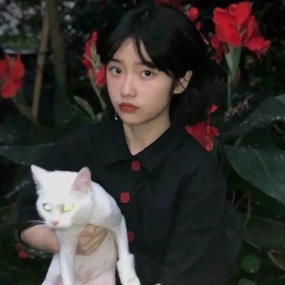 让你最难忘的情话是什么