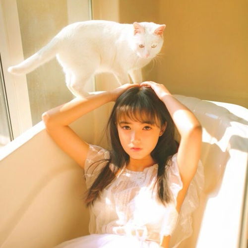 人生若只如初见,那该多好