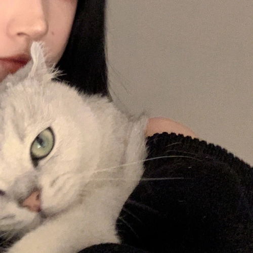 有个很可爱的人丨女生头像