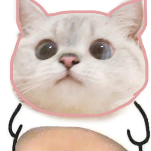 可爱女孩必备甜甜的猫猫头像