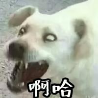 我珍藏的爆笑沙雕情侣头像表情包,一定要看,不满意就掐死我