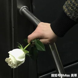 小城俏佳人兮荏潜伏记四