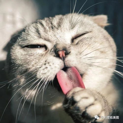 2020好看的微信头像精选,高清头像原图