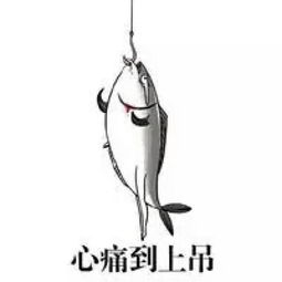 公考界,这类人最招人嫉妒