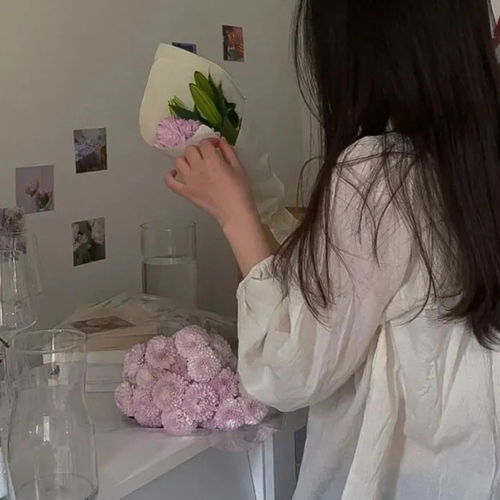 小众文案铁树不会开花,乌鸦只会谩骂