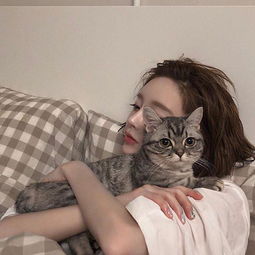 清新抱猫女生qq头像女生萌宠qq头像