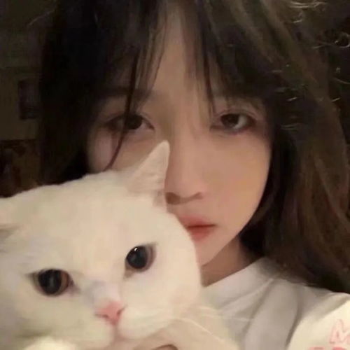 女生头像世事如苍狗腾讯新闻