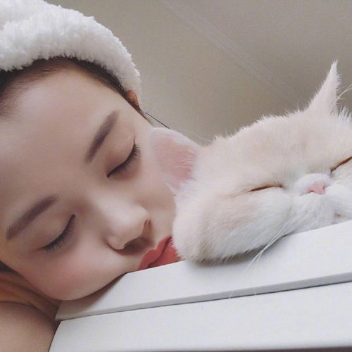头像女生与猫真的是太美好了吧